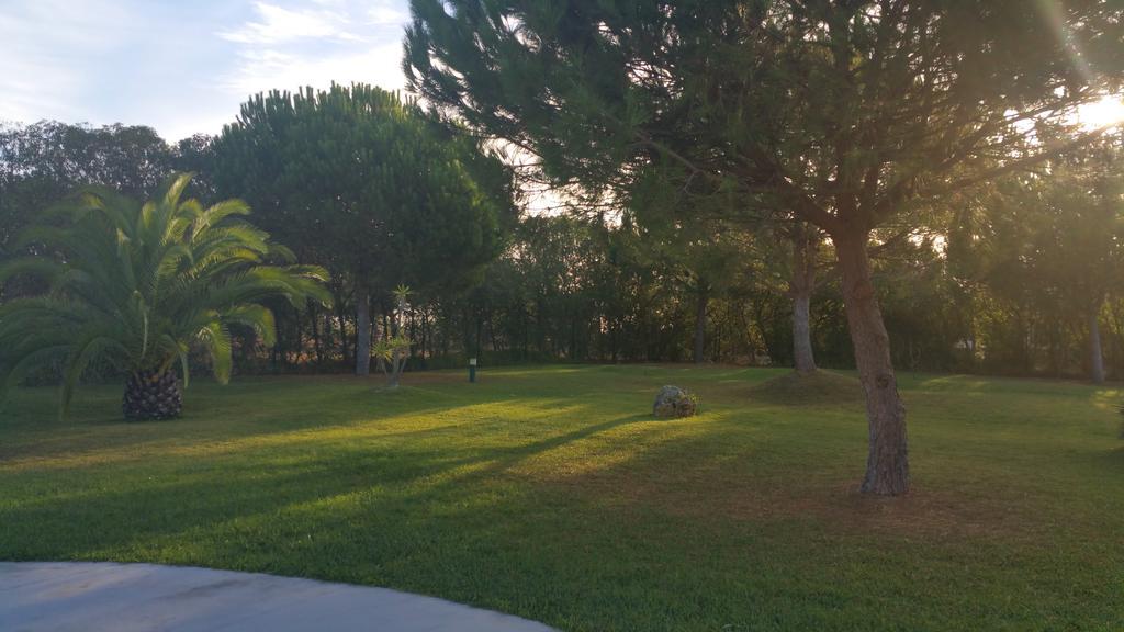 Apartamentos Clube Da Bemposta Alvor Szoba fotó